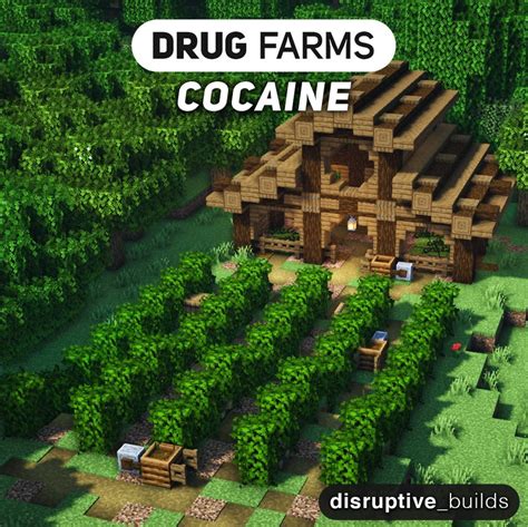 minecraft drug farm|More.